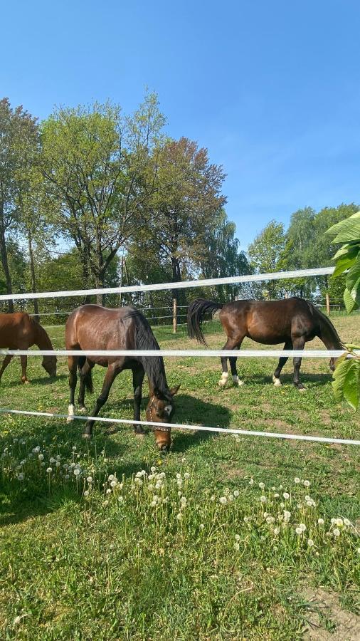 Pelnikowe Zacisze Villa Bobolice  Luaran gambar